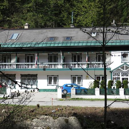 Alpenpension Альтаусзе Екстер'єр фото